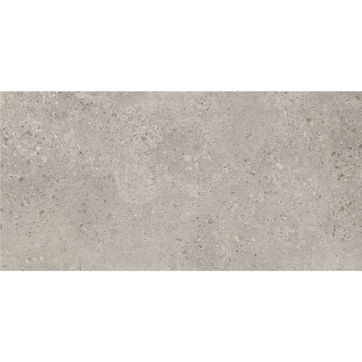 ドテラ　ルミスト　シルバー Daltile - Dignitary 12 in. x 24 in. Matte Porcelain Tile