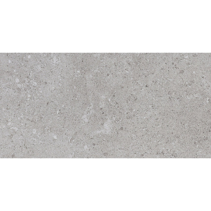 Daltile - Dignitary 12 in. x 24 in. Matte Porcelain Tile - Eminence Gray