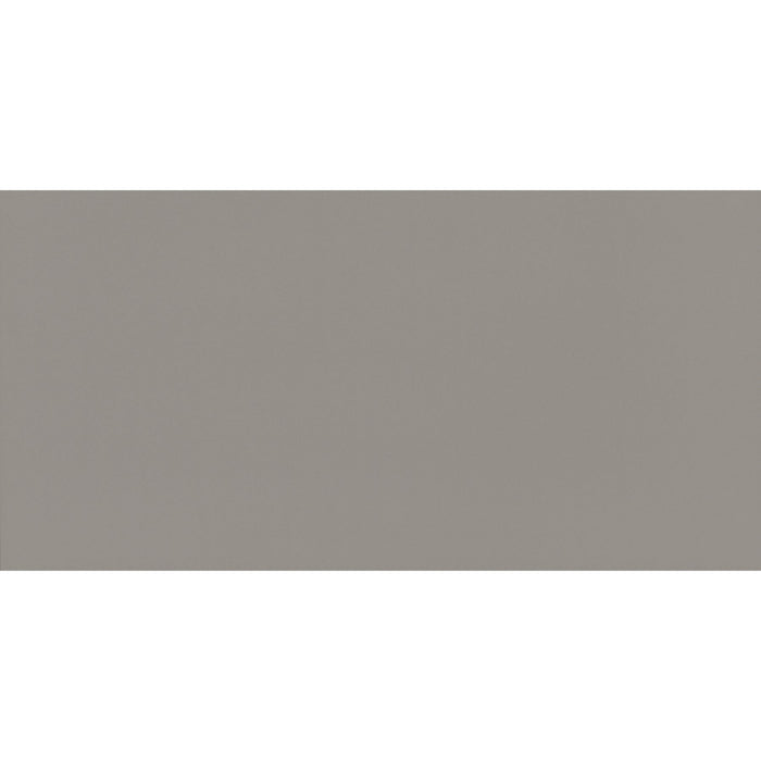 Daltile - Flat - 12 in. x 24 in. - Matte Porcelain Tile - Steel