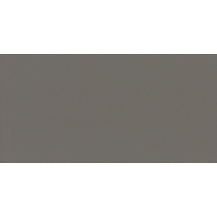 Daltile - Flat - 12 in. x 24 in. - Matte Porcelain Tile - Iron