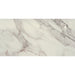 Daltile - Famed 12 in. x 24 in. Colorbody Porcelain Tile - Diamond Polished