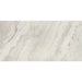 Daltile - Famed 12 in. x 24 in. Colorbody Porcelain Tile - Iconic Polished