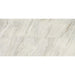 Daltile - Famed 12 in. x 24 in. Colorbody Porcelain Tile - Iconic Polished