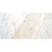 Daltile - Pietra Divina 12 in. x 24 in. - Namaste Polished