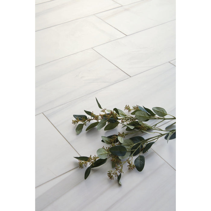 Daltile - Pietra Divina 12 in. x 24 in. - Calacatta Dolomiti Polished Close View