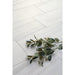 Daltile - Pietra Divina 12 in. x 24 in. - Calacatta Dolomiti Polished Close View