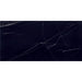 Daltile - Pietra Divina 12 in. x 24 in. - Nero Marquina Honed
