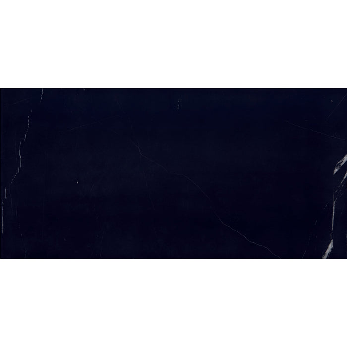 Daltile - Pietra Divina 12 in. x 24 in. - Nero Marquina Honed