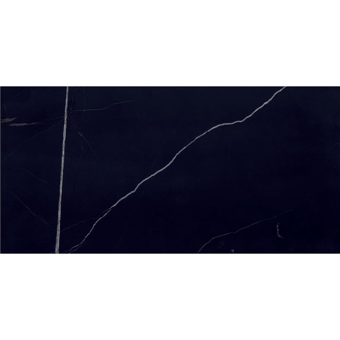 Daltile - Pietra Divina 12 in. x 24 in. - Nero Marquina Honed