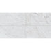 Daltile Marble Attache Lavish 24 in. x 48 in. Colorbody Porcelain Tile - Polished Diamond Carrara Variation