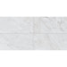 Daltile Marble Attache Lavish 12 in. x 24 in. Colorbody Porcelain Tile - Polished Diamond Carrara Variation