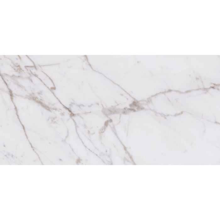 Daltile Marble Attache Lavish 24 in. x 48 in. Colorbody Porcelain Tile - Matte Golden Reverie