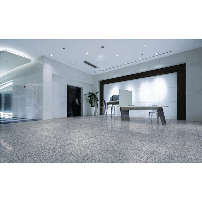 Daltile - Modernist 36 in. x 36 in. Colorbody Porcelain Tile - Pearsall Grey Room Scene