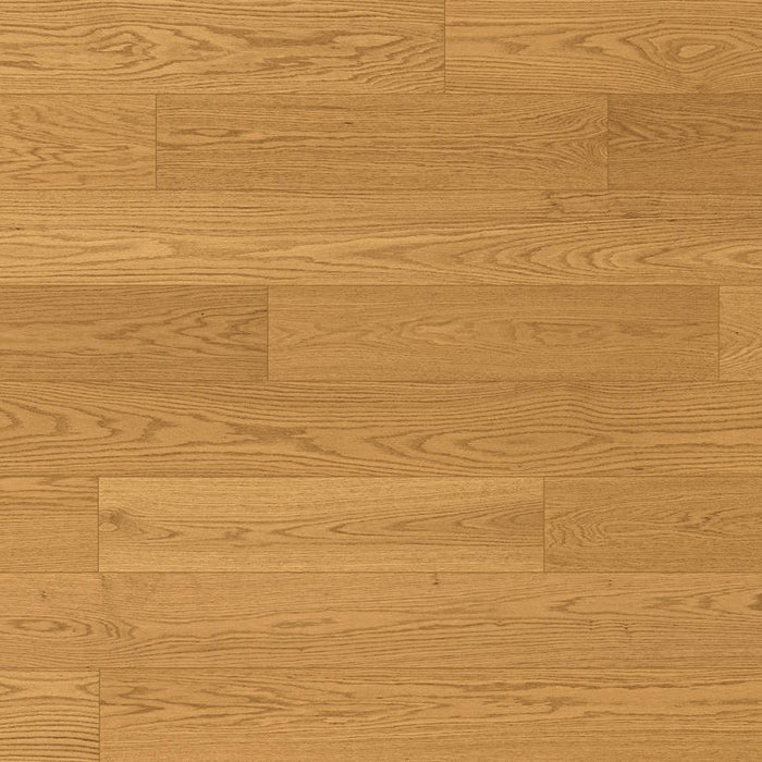 Norwood Hill - Allure Engineered Hardwood - Enthrall