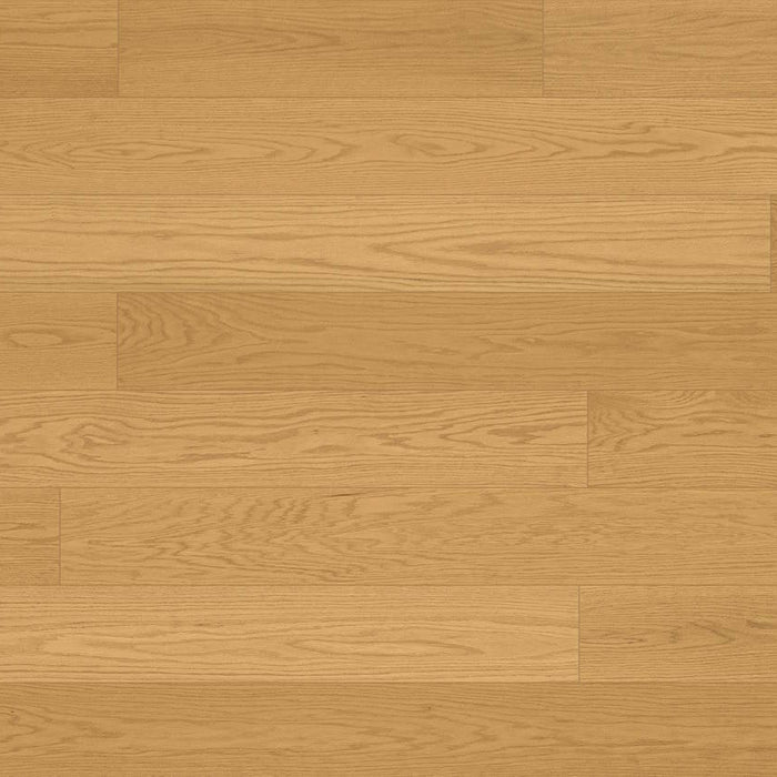 Norwood Hill - Allure Engineered Hardwood - Ambiance