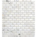 Daltile - First Snow Elegance 1/2 in. x 1 in. Brick Joint Mosaic - Polished