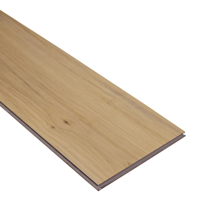Eagle Creek - Modern Muse Collection - SPC Luxury Vinyl - Rizz Plank View