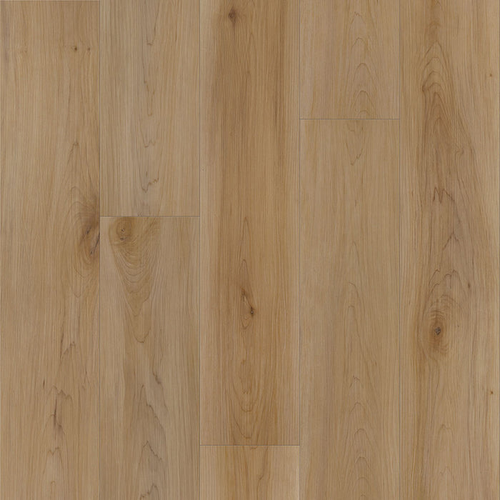 Eagle Creek - Modern Muse Collection - SPC Luxury Vinyl - Rizz