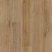 Eagle Creek - Modern Muse Collection - SPC Luxury Vinyl - Rizz