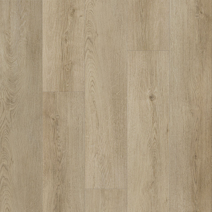 Eagle Creek - Modern Muse Collection - SPC Luxury Vinyl - Glow Up