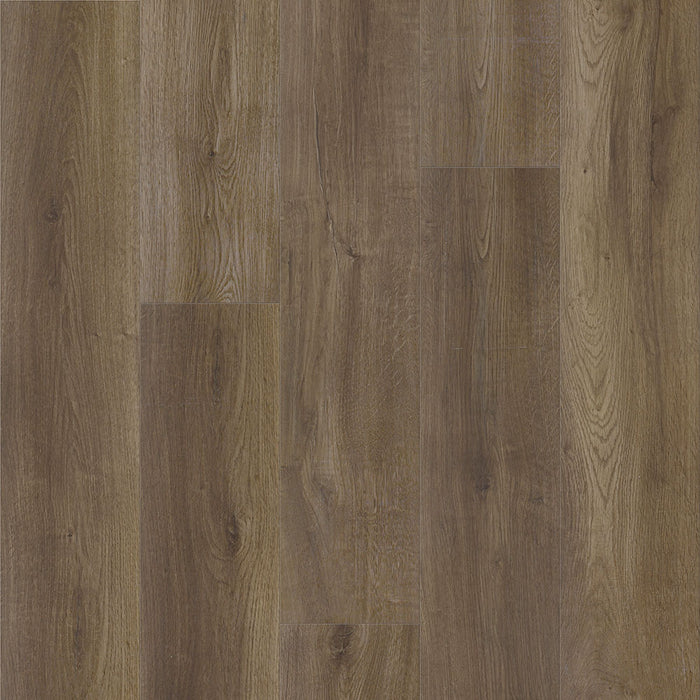 Eagle Creek - Modern Muse Collection - SPC Luxury Vinyl - Cozy