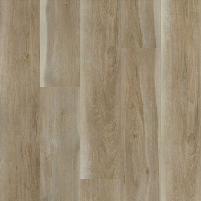 Eagle Creek - Modern Muse Collection - SPC Luxury Vinyl - Focal Point