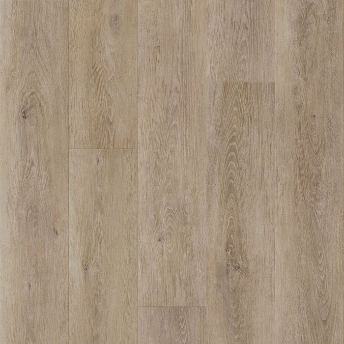 Eagle Creek - Modern Muse Collection - SPC Luxury Vinyl - Gallery