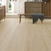 Eagle Creek - Modern Muse Collection - SPC Luxury Vinyl - Natural Light Room Scene