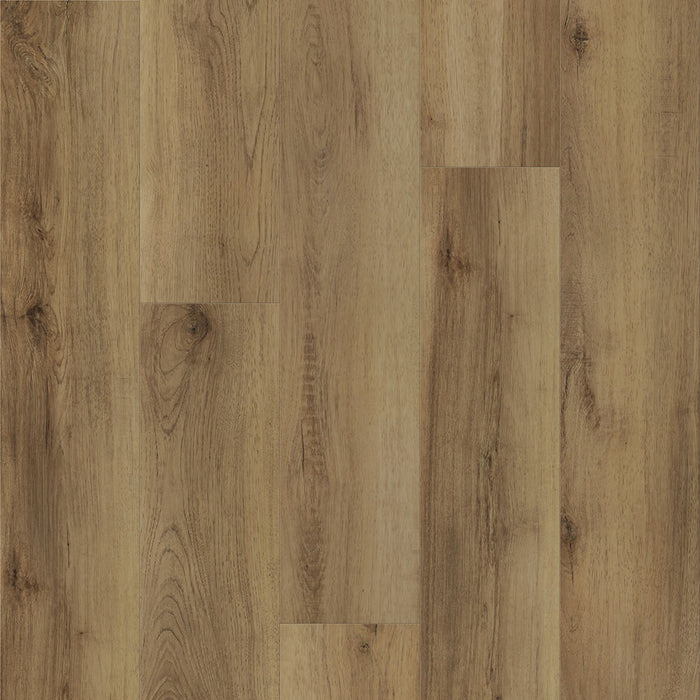 Eagle Creek - Modern Muse Collection - SPC Luxury Vinyl - Brush Stroke