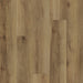 Eagle Creek - Modern Muse Collection - SPC Luxury Vinyl - Brush Stroke