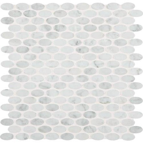 Daltile - Carrara White Oval Mosaic - Polished