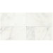 Daltile - First Snow Elegance 12 in. x 24 in. - Polished