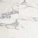 Daltile - Calacatta Gold 12 in. x 12 in. - Honed