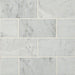 Daltile - Carrara White 3 in. x 6 in. - Polished