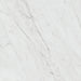 Daltile Marble Attache Lavish 24 in. x 24 in. Colorbody Porcelain Tile - Matte Diamond Carrara