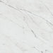 Daltile Marble Attache Lavish 24 in. x 24 in. Colorbody Porcelain Tile - Matte Diamond Carrara