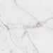 Daltile Marble Attache Lavish 24 in. x 24 in. Colorbody Porcelain Tile - Polished Golden Reverie