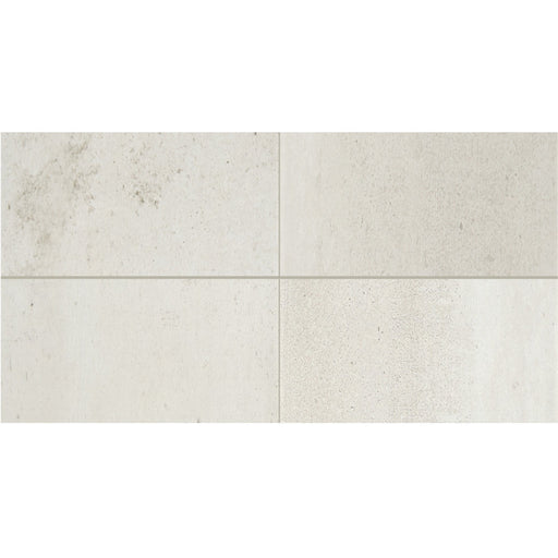 Daltile - Modern Hearth - 12 in. x 24 in. Glazed Porcelain Tile