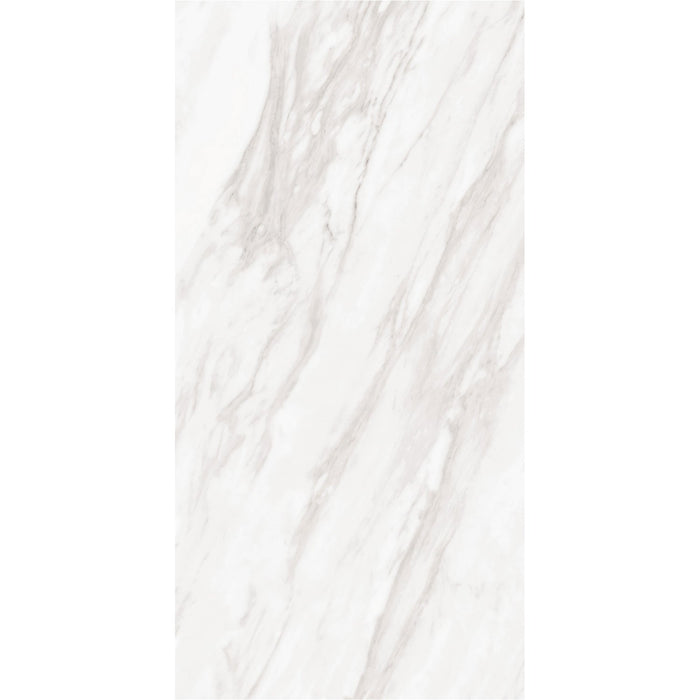 Daltile - Perpetuo - 12 in. x 24 in. Glazed Porcelain Floor Tile - Timeless White Matte 2