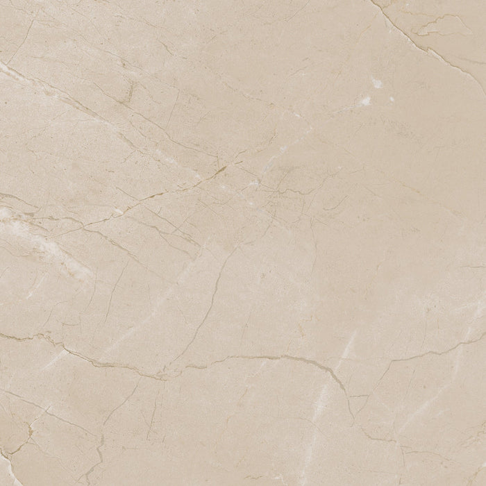 Daltile - Perpetuo - 24 in. x 24 in. Glazed Porcelain Floor Tile - Elegant Beige Polished 2