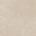 Daltile - Perpetuo - 12 in. x 12 in. Glazed Porcelain Floor Tile - Elegant Beige Matte 2