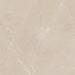 Daltile - Perpetuo - 24 in. x 24 in. Glazed Porcelain Floor Tile - Elegant Beige Polished 4