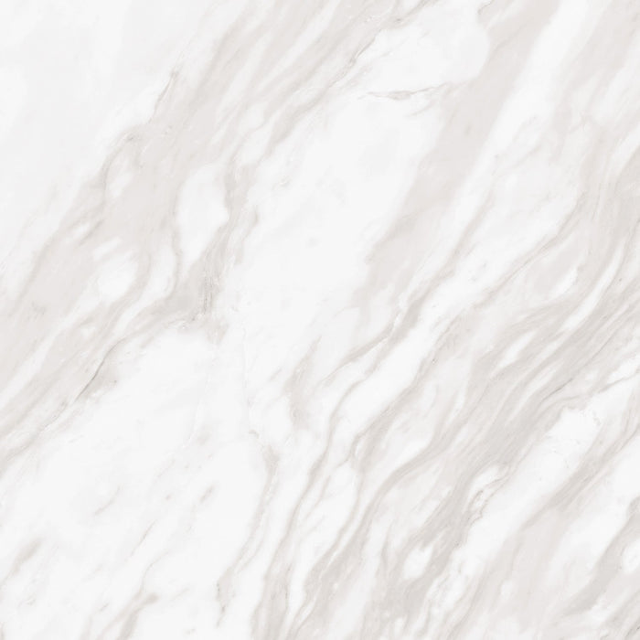 Daltile - Perpetuo - 24 in. x 24 in. Glazed Porcelain Floor Tile - Timeless White Polished 4