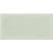 Daltile RetroSpace 3 in. x 6 in. Wall Tile - Succulent Green