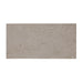 Daltile - Scripter 12 in. x 24 in. Glazed Porcelain Floor Tile - Mentor Matte