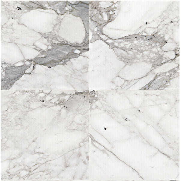 Daltile - Venetian Calacatta 12 in. x 12 in. - Honed