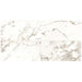 Daltile Marble Attache 12 in. x 24 in. Colorbody Porcelain Tile - Polished Calacatta MA87