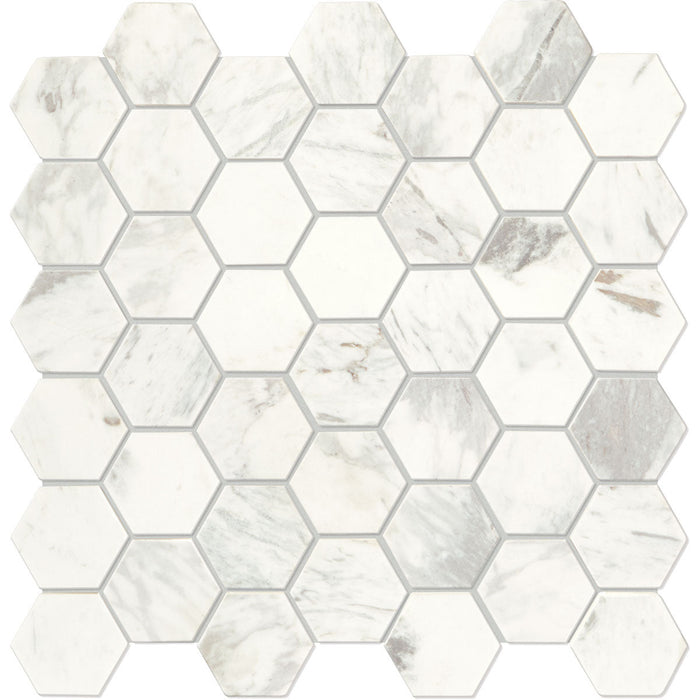 Daltile Raine 2 in. Hexagon Mosaic - Honed - Stratus White M017