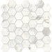 Daltile Raine 2 in. Hexagon Mosaic - Honed - Stratus White M017