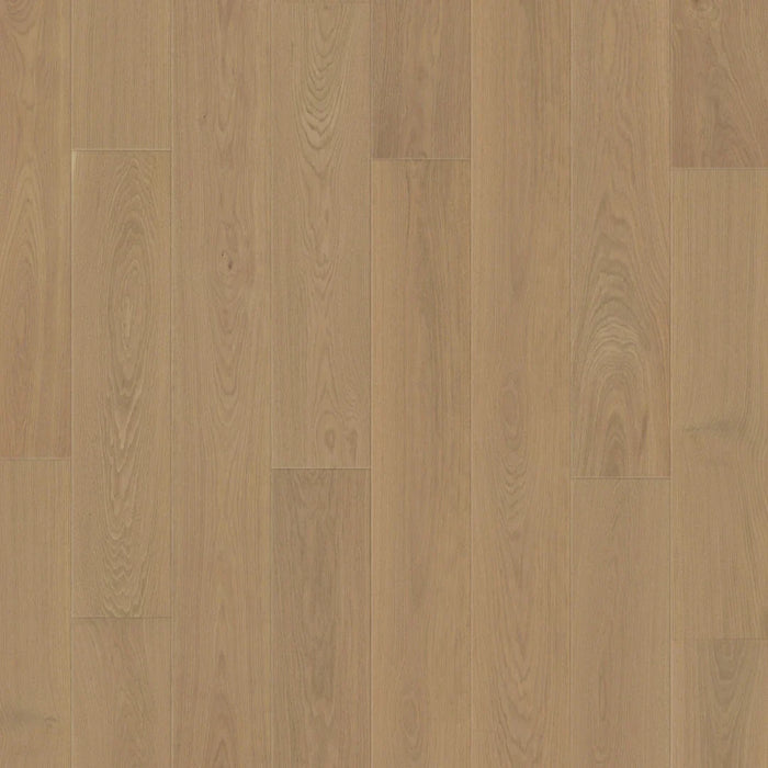 DuChateau - The Vernal Collection - Alpe Foppa